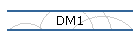 DM1